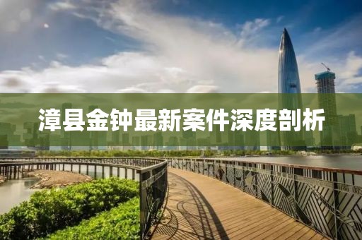 漳縣金鐘最新案件深度剖析
