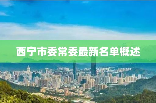 西寧市委常委最新名單概述