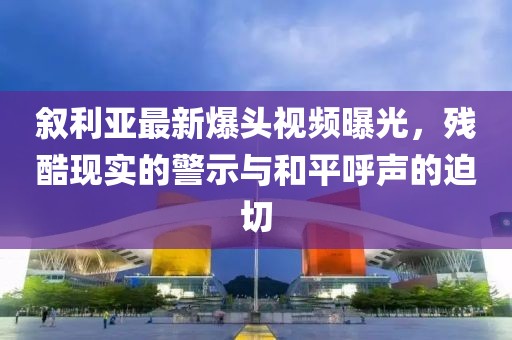 敘利亞最新爆頭視頻曝光，殘酷現(xiàn)實(shí)的警示與和平呼聲的迫切