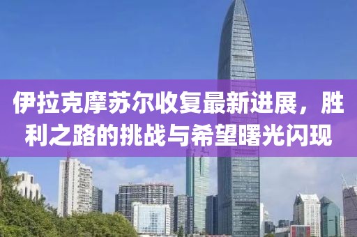 伊拉克摩蘇爾收復(fù)最新進(jìn)展，勝利之路的挑戰(zhàn)與希望曙光閃現(xiàn)