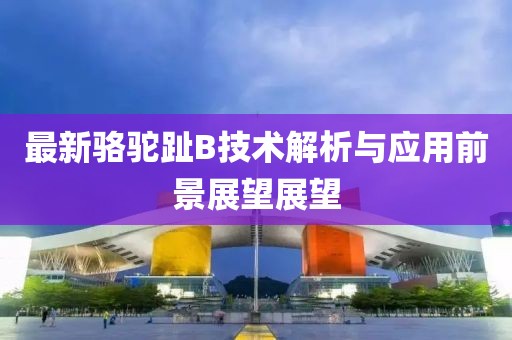 最新駱駝趾B技術(shù)解析與應(yīng)用前景展望展望