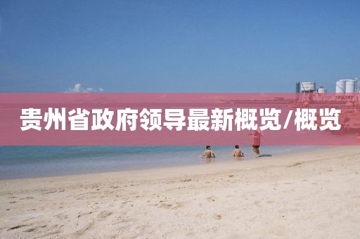 貴州省政府領(lǐng)導(dǎo)最新概覽/概覽