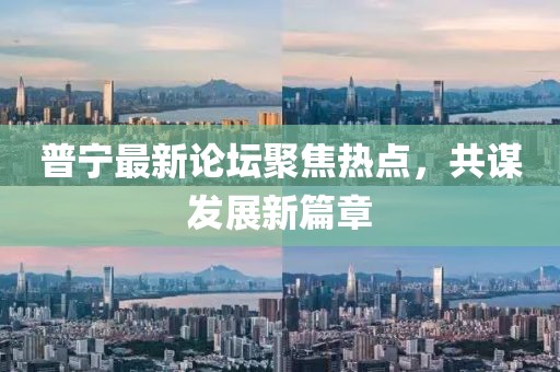 普寧最新論壇聚焦熱點(diǎn)，共謀發(fā)展新篇章