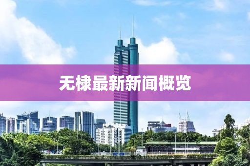 無棣最新新聞概覽