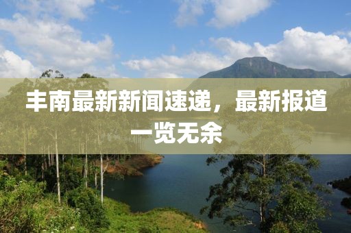 豐南最新新聞速遞，最新報(bào)道一覽無(wú)余