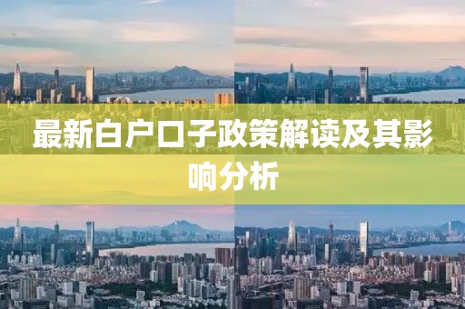 最新白戶口子政策解讀及其影響分析
