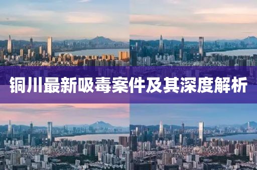 銅川最新吸毒案件及其深度解析