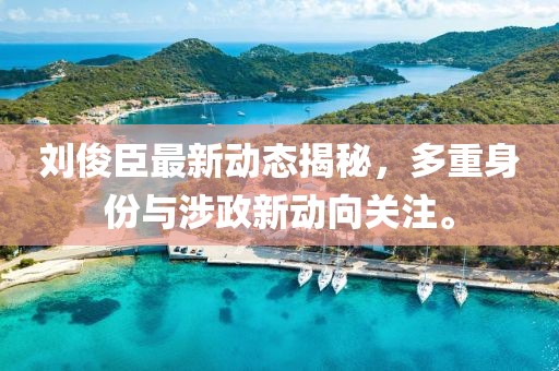 劉俊臣最新動態(tài)揭秘，多重身份與涉政新動向關(guān)注。