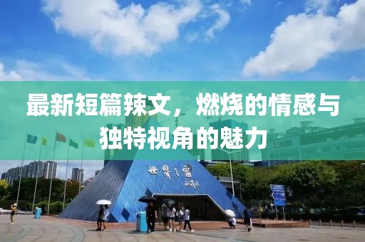 最新短篇辣文，燃燒的情感與獨(dú)特視角的魅力