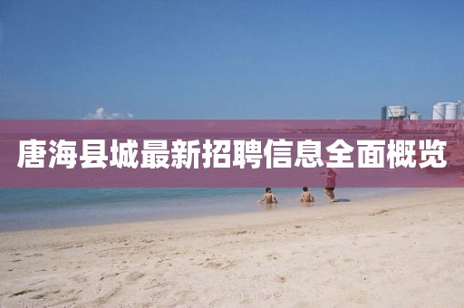唐?？h城最新招聘信息全面概覽