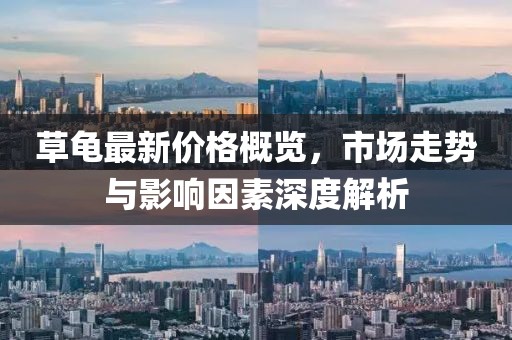 草龜最新價(jià)格概覽，市場(chǎng)走勢(shì)與影響因素深度解析