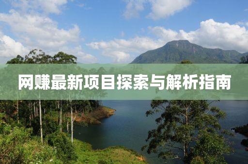 網(wǎng)賺最新項目探索與解析指南