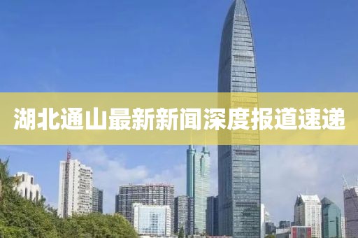 湖北通山最新新聞深度報道速遞