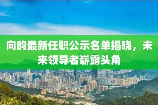 向昀最新任職公示名單揭曉，未來領(lǐng)導(dǎo)者嶄露頭角