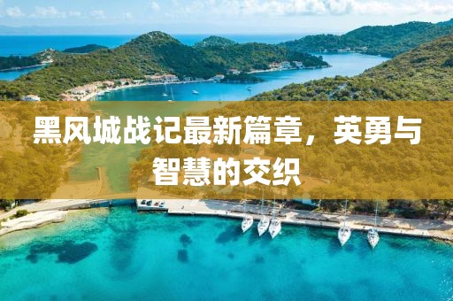 黑風城戰(zhàn)記最新篇章，英勇與智慧的交織