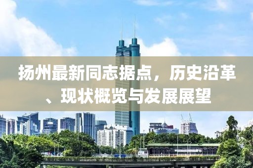 揚(yáng)州最新同志據(jù)點(diǎn)，歷史沿革、現(xiàn)狀概覽與發(fā)展展望