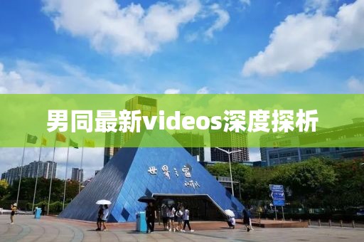 男同最新videos深度探析