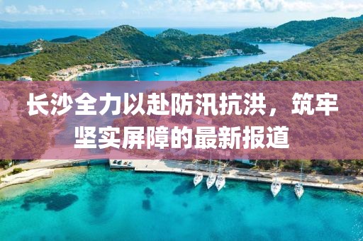 長沙全力以赴防汛抗洪，筑牢堅實屏障的最新報道