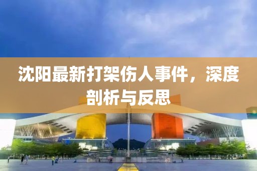 沈陽最新打架傷人事件，深度剖析與反思
