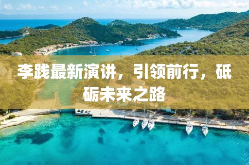 李踐最新演講，引領(lǐng)前行，砥礪未來(lái)之路