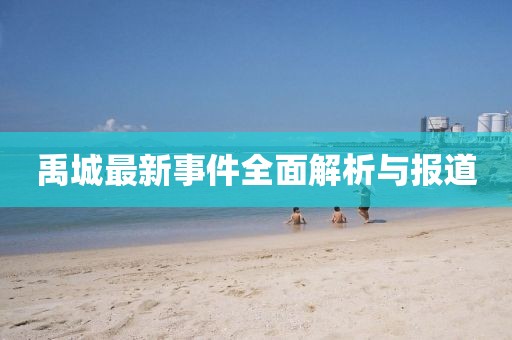 禹城最新事件全面解析與報(bào)道