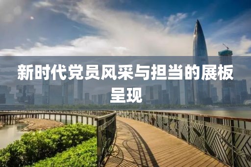 新時(shí)代黨員風(fēng)采與擔(dān)當(dāng)?shù)恼拱宄尸F(xiàn)