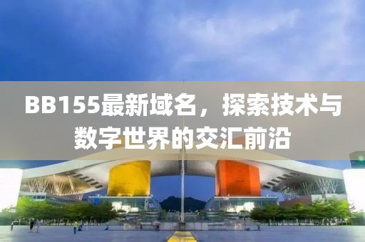 BB155最新域名，探索技術(shù)與數(shù)字世界的交匯前沿