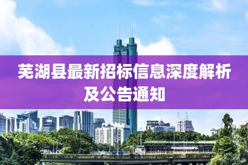 蕪湖縣最新招標(biāo)信息深度解析及公告通知