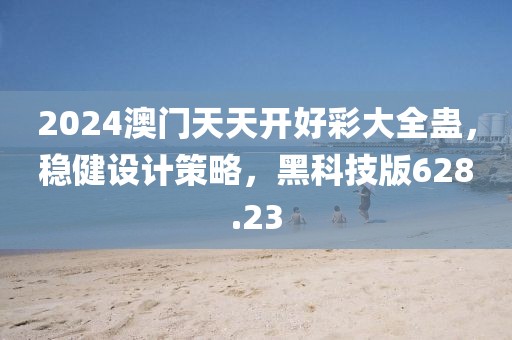 2024澳門天天開好彩大全蠱，穩(wěn)健設(shè)計策略，黑科技版628.23