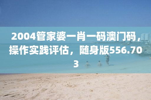 2004管家婆一肖一碼澳門碼，操作實踐評估，隨身版556.703