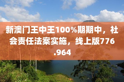 新澳門(mén)王中王100%期期中，社會(huì)責(zé)任法案實(shí)施，線上版776.964