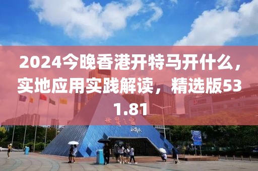 2024今晚香港開特馬開什么，實(shí)地應(yīng)用實(shí)踐解讀，精選版531.81