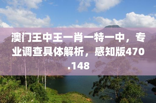 澳門王中王一肖一特一中，專業(yè)調查具體解析，感知版470.148