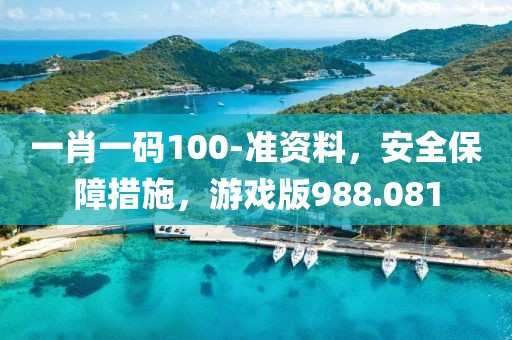 一肖一碼100-準資料，安全保障措施，游戲版988.081