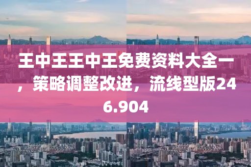 王中王王中王免費(fèi)資料大全一，策略調(diào)整改進(jìn)，流線型版246.904