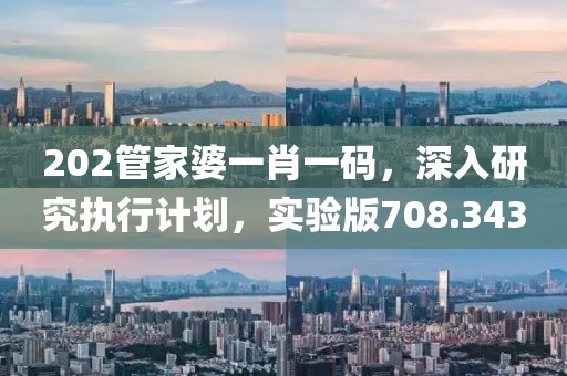 202管家婆一肖一碼，深入研究執(zhí)行計劃，實驗版708.343