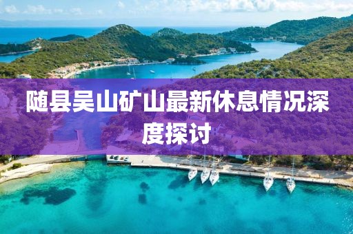 隨縣吳山礦山最新休息情況深度探討