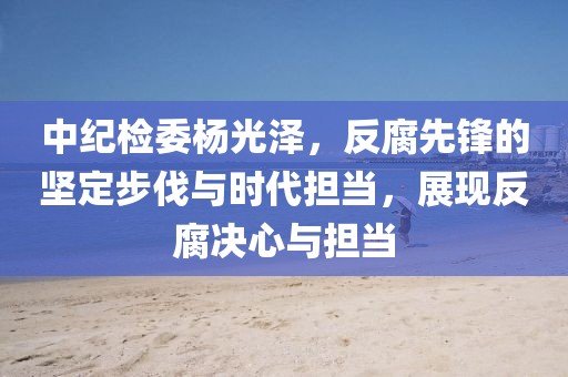 中紀檢委楊光澤，反腐先鋒的堅定步伐與時代擔當，展現(xiàn)反腐決心與擔當