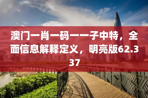 澳門一肖一碼一一子中特，全面信息解釋定義，明亮版62.337