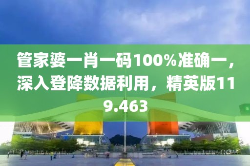 管家婆一肖一碼100%準(zhǔn)確一，深入登降數(shù)據(jù)利用，精英版119.463