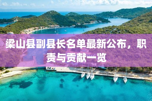 梁山縣副縣長(zhǎng)名單最新公布，職責(zé)與貢獻(xiàn)一覽