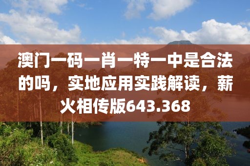 澳門一碼一肖一特一中是合法的嗎，實(shí)地應(yīng)用實(shí)踐解讀，薪火相傳版643.368