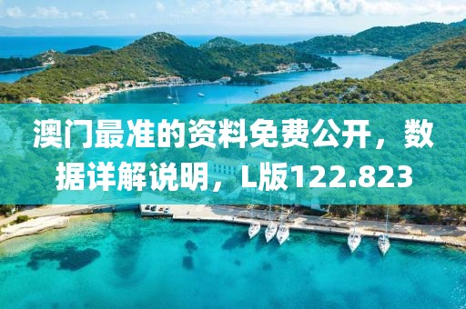 澳門(mén)最準(zhǔn)的資料免費(fèi)公開(kāi)，數(shù)據(jù)詳解說(shuō)明，L版122.823