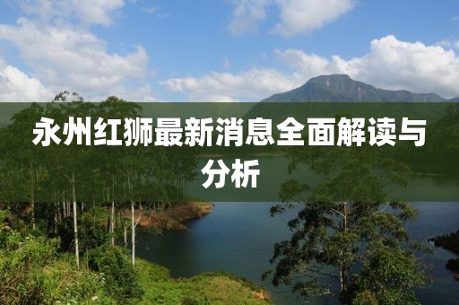 永州紅獅最新消息全面解讀與分析
