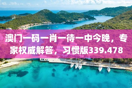 澳門(mén)一碼一肖一待一中今晚，專(zhuān)家權(quán)威解答，習(xí)慣版339.478