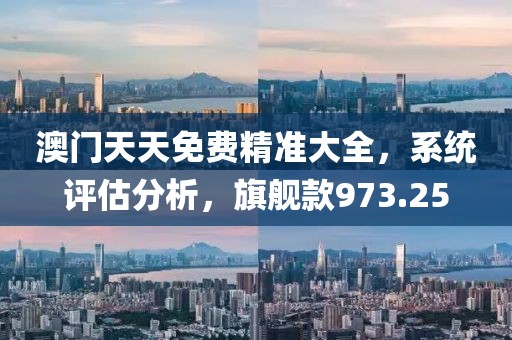 澳門天天免費精準大全，系統(tǒng)評估分析，旗艦款973.25