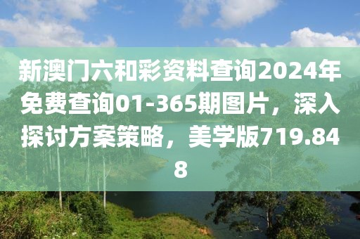 新澳門六和彩資料查詢2024年免費查詢01-365期圖片，深入探討方案策略，美學版719.848