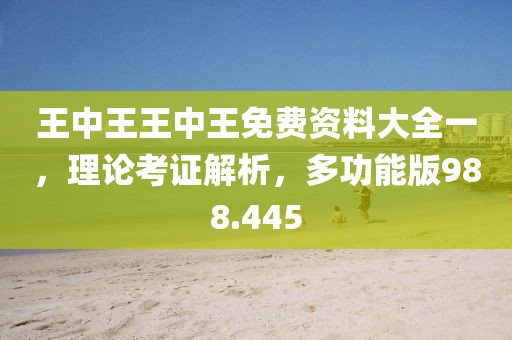 王中王王中王免費(fèi)資料大全一，理論考證解析，多功能版988.445