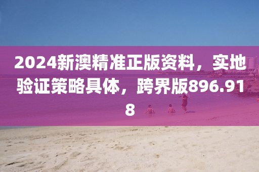 2024新澳精準(zhǔn)正版資料，實(shí)地驗(yàn)證策略具體，跨界版896.918