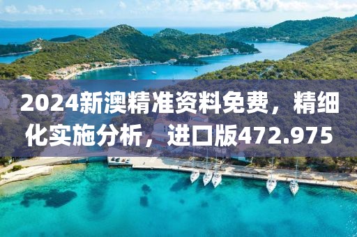 2024新澳精準(zhǔn)資料免費(fèi)，精細(xì)化實(shí)施分析，進(jìn)口版472.975
